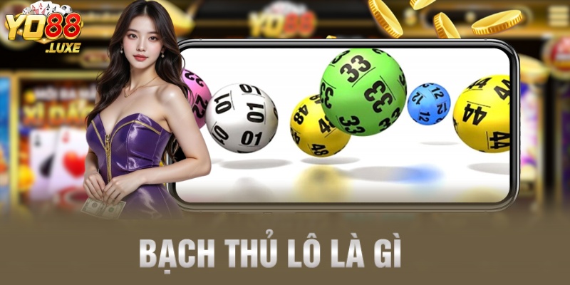 bạch thủ lô