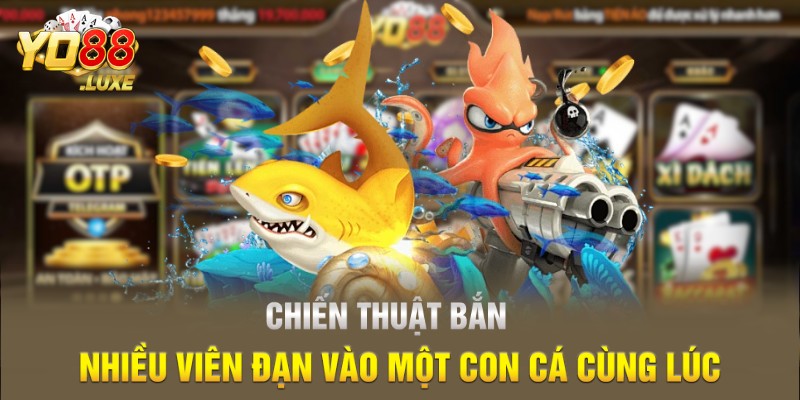 Chiến thuật bắn nhiều viên đạn vào một con cá cùng lúc