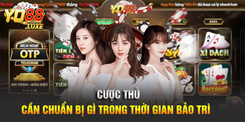 Cược thủ cần chuẩn bị gì trong thời gian bảo trì 